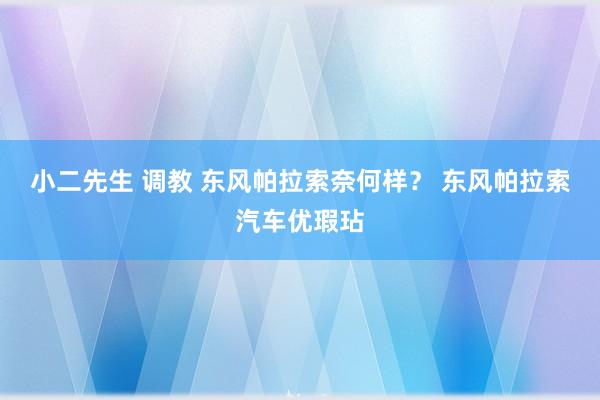 小二先生 调教 东风帕拉索奈何样? 东风帕拉索汽车优瑕玷