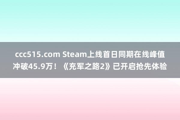 ccc515.com Steam上线首日同期在线峰值冲破45.9万！《充军之路2》已开启抢先体验