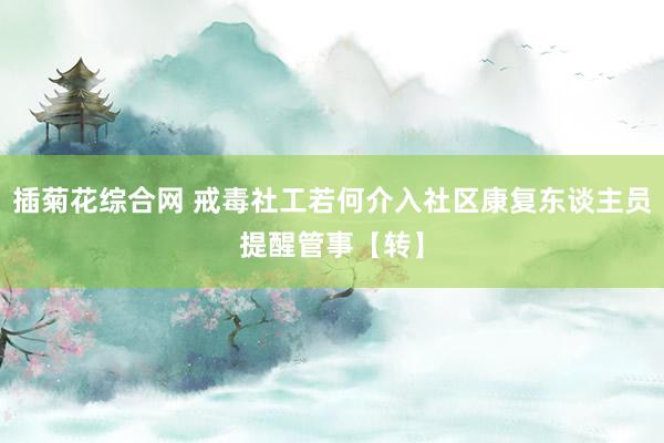 插菊花综合网 戒毒社工若何介入社区康复东谈主员提醒管事【转】