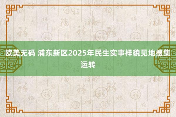 欧美无码 浦东新区2025年民生实事样貌见地搜集运转