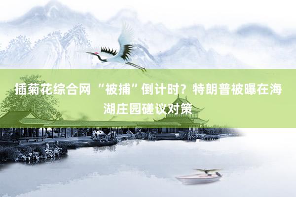 插菊花综合网 “被捕”倒计时？特朗普被曝在海湖庄园磋议对策