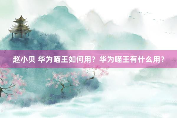 赵小贝 华为喵王如何用？华为喵王有什么用？