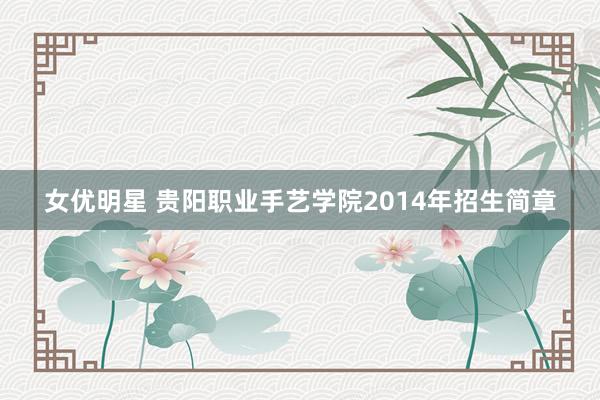 女优明星 贵阳职业手艺学院2014年招生简章