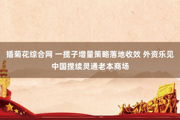 插菊花综合网 一揽子增量策略落地收效 外资乐见中国捏续灵通老本商场