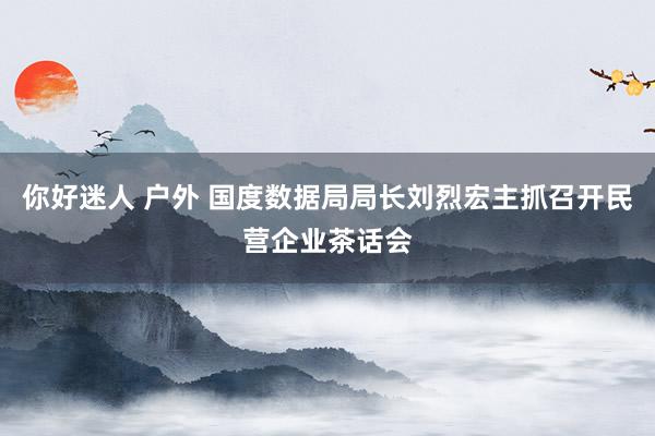 你好迷人 户外 国度数据局局长刘烈宏主抓召开民营企业茶话会