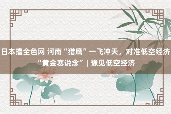 日本撸全色网 河南“猎鹰”一飞冲天，对准低空经济“黄金赛说念” | 豫见低空经济