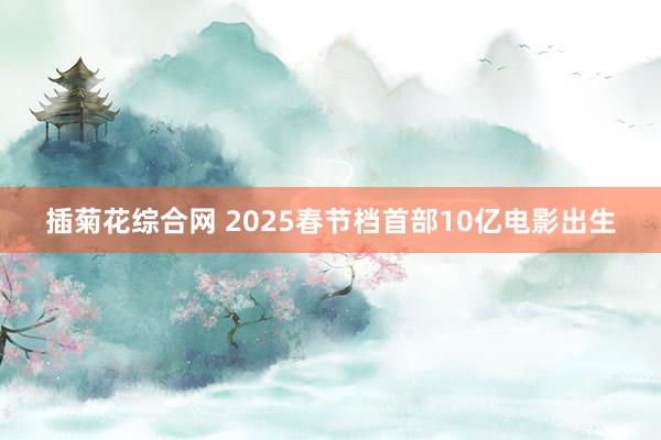 插菊花综合网 2025春节档首部10亿电影出生
