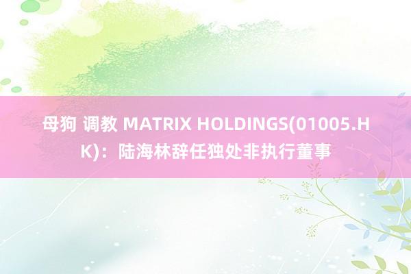 母狗 调教 MATRIX HOLDINGS(01005.HK)：陆海林辞任独处非执行董事