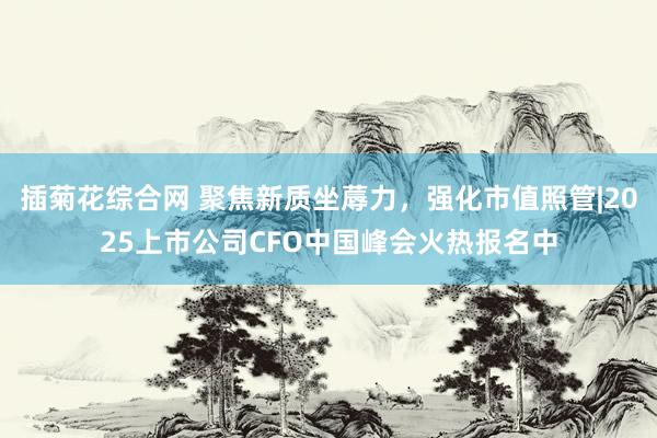 插菊花综合网 聚焦新质坐蓐力，强化市值照管|2025上市公司CFO中国峰会火热报名中