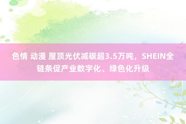 色情 动漫 屋顶光伏减碳超3.5万吨，SHEIN全链条促产业数字化、绿色化升级